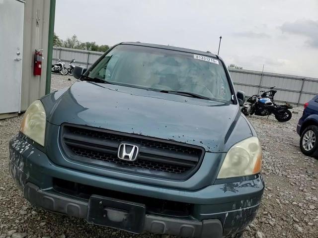 2005 Honda Pilot Exl VIN: 5FNYF18655B035948 Lot: 81331215