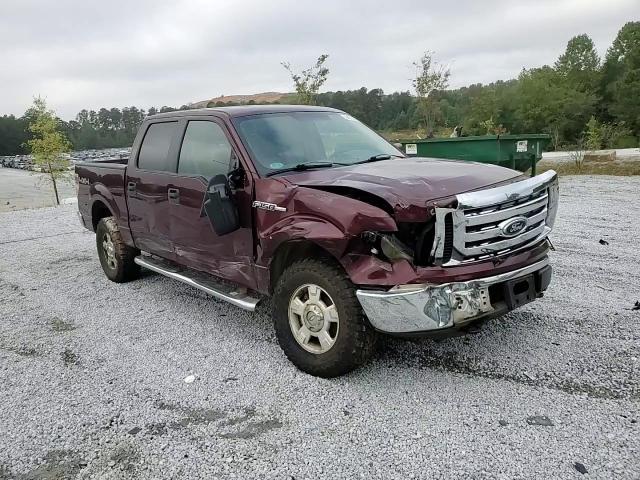 2010 Ford F150 Supercrew VIN: 1FTEW1E88AFD60785 Lot: 84013095