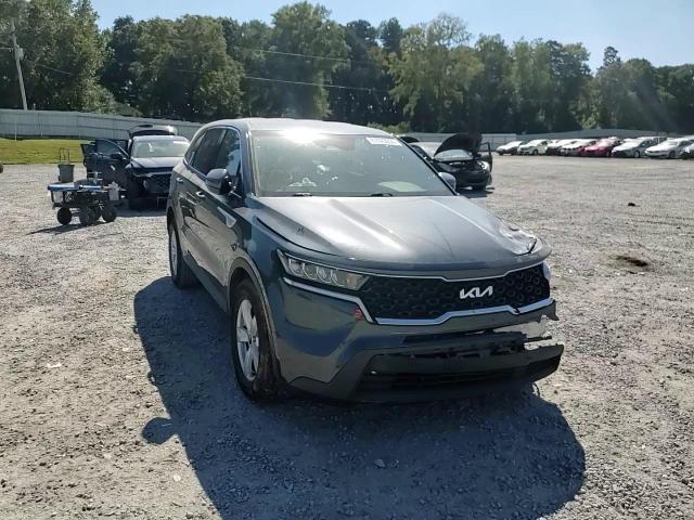 2022 Kia Sorento Lx VIN: 5XYRG4LC1NG117619 Lot: 81020055