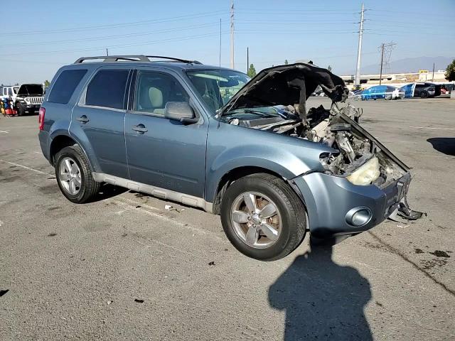 2010 Ford Escape Xlt VIN: 1FMCU0DG9AKC96159 Lot: 81517415