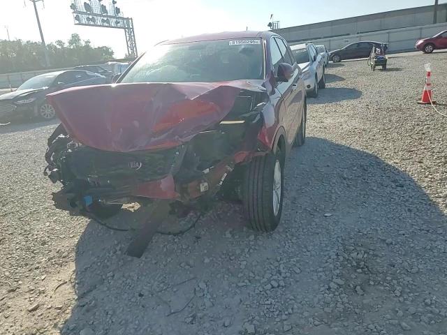 2019 Kia Sorento L VIN: 5XYPG4A3XKG567422 Lot: 81950295