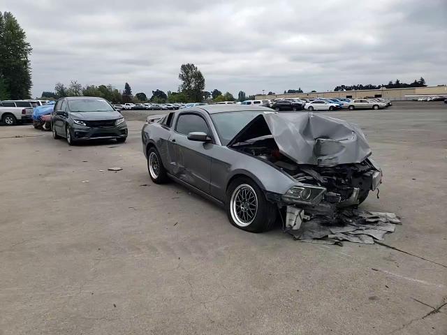 2013 Ford Mustang VIN: 1ZVBP8AM6D5245329 Lot: 80190425