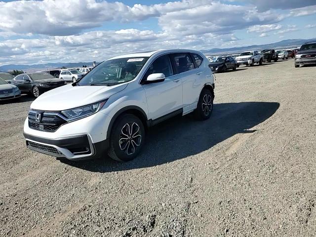 2020 Honda Cr-V Exl VIN: 2HKRW2H89LH687997 Lot: 80696905