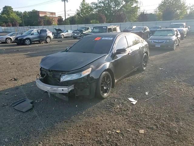 2009 Acura Tl VIN: 19UUA86529A009405 Lot: 80515025