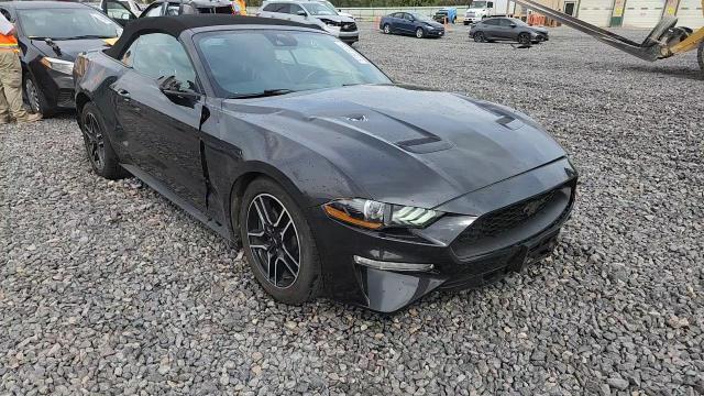 2022 Ford Mustang VIN: 1FATP8UH4N5102814 Lot: 81501575