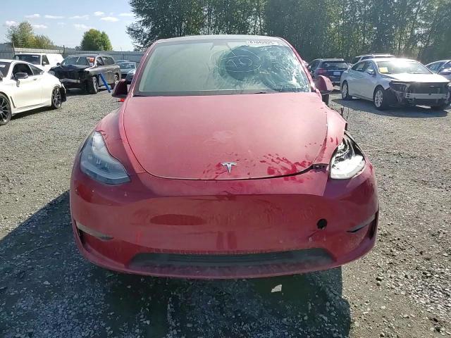 2022 Tesla Model Y VIN: 7SAYGAEE2NF427474 Lot: 81042025