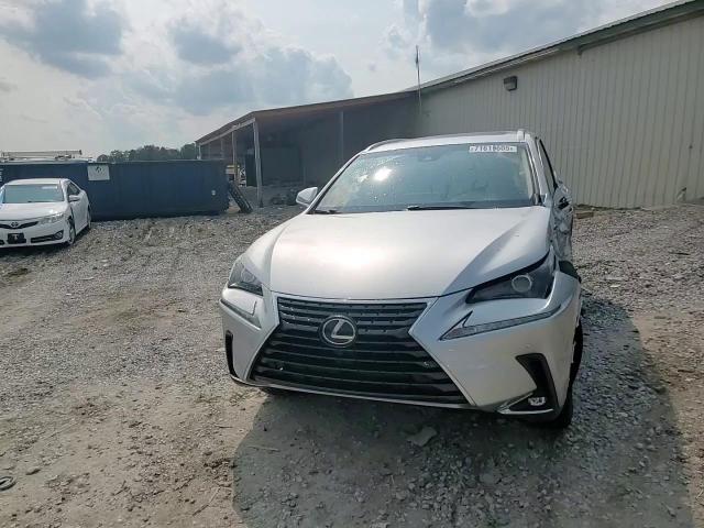 2019 Lexus Nx 300 Base VIN: JTJYARBZ5K2145359 Lot: 71619605