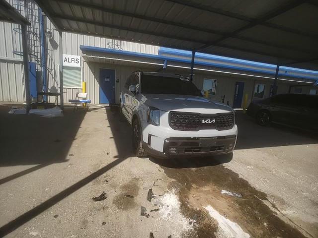 2024 Kia Telluride Sx VIN: 5XYP5DGC1RG525552 Lot: 70689225