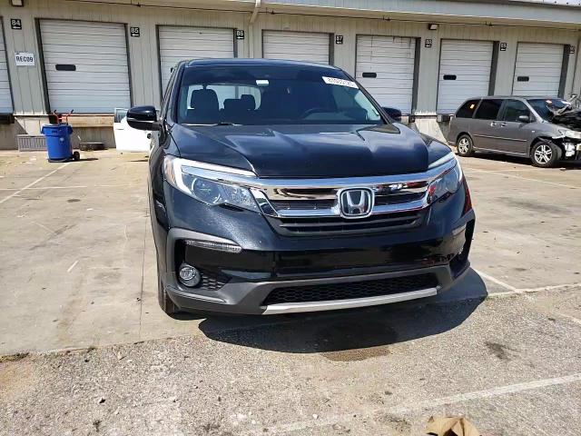 2019 Honda Pilot Exl VIN: 5FNYF5H51KB044267 Lot: 81035125