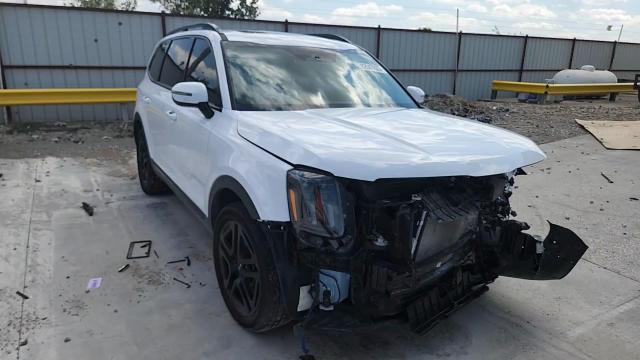 2024 Kia Telluride Sx VIN: 5XYP5DGC4RG539378 Lot: 82047025