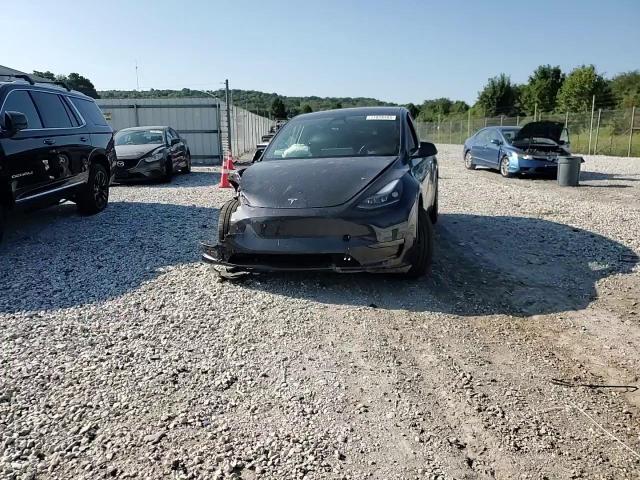 2025 Tesla Model Y VIN: 7SAYGDEE7SA343886 Lot: 71828485