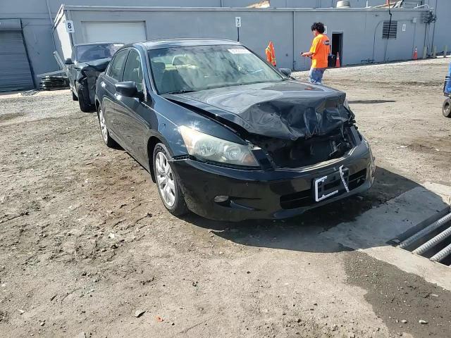 2010 Honda Accord Exl VIN: 1HGCP3F83AA011773 Lot: 81833745