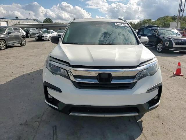 2019 Honda Pilot Ex VIN: 5FNYF5H31KB013115 Lot: 81836305
