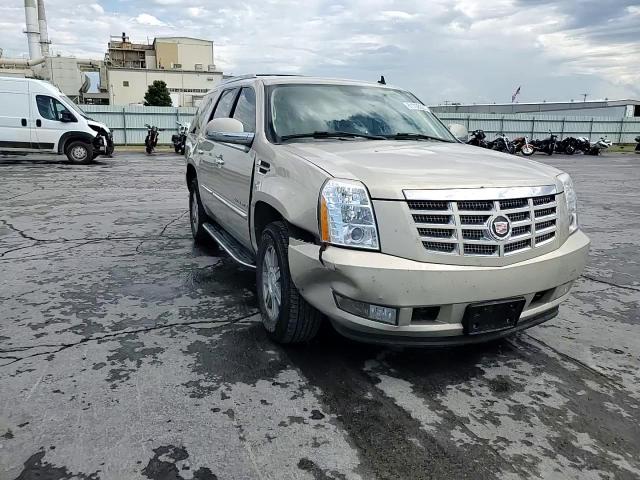 2007 Cadillac Escalade Luxury VIN: 1GYEC63897R270670 Lot: 81708225