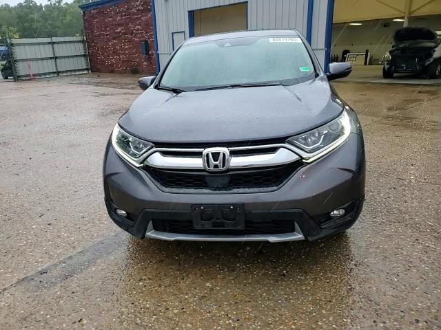 2019 Honda Cr-V Exl VIN: 2HKRW1H84KH507592 Lot: 80819765