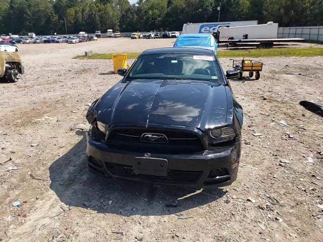 2014 Ford Mustang VIN: 1ZVBP8AM5E5202313 Lot: 71062665