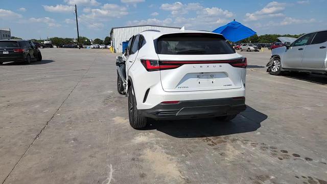 2022 Lexus Nx 250 VIN: JTJGDCAZ7N5004846 Lot: 80493405