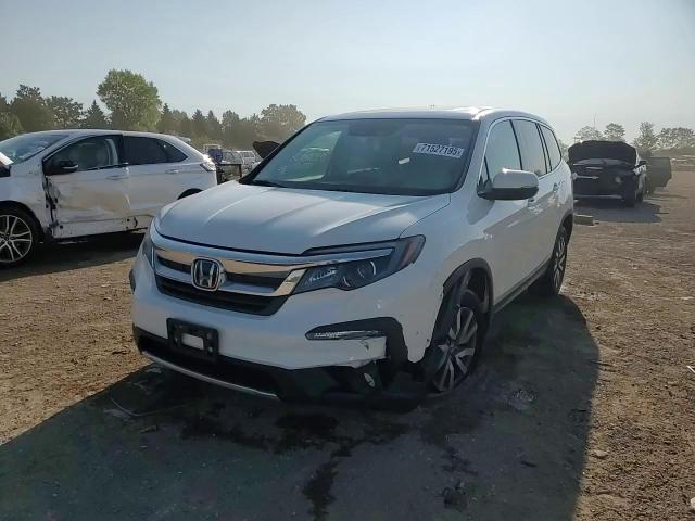 2019 Honda Pilot Exl VIN: 5FNYF6H59KB083453 Lot: 71527195