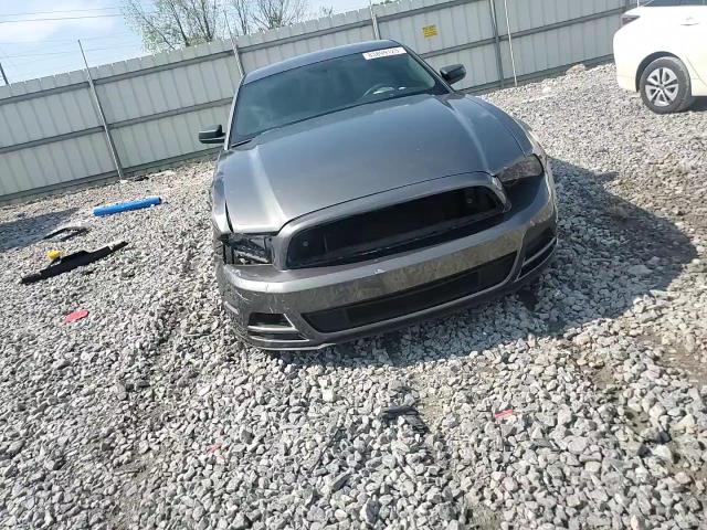 2014 Ford Mustang VIN: 1ZVBP8AM0E5260555 Lot: 83899125