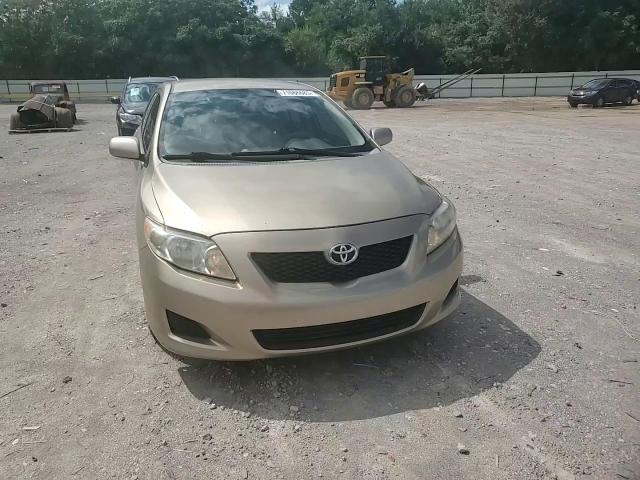 2010 Toyota Corolla VIN: 1NXBU4EEXAZ337791 Lot: 71086685