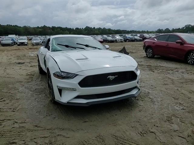 2019 Ford Mustang VIN: 1FA6P8TH2K5186464 Lot: 80819665