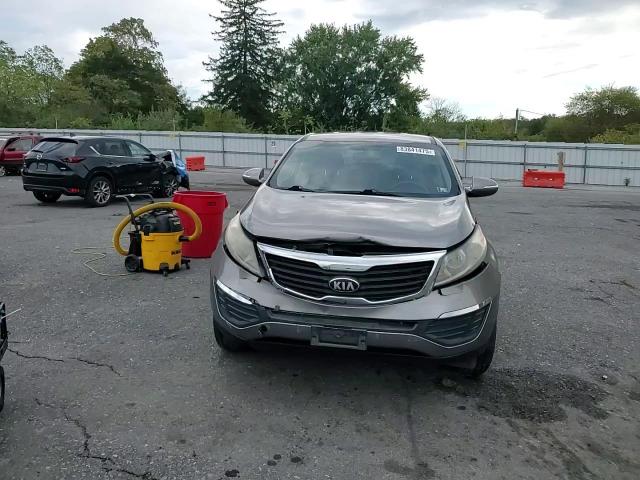 2013 Kia Sportage Lx VIN: KNDPBCA21D7400303 Lot: 83841475