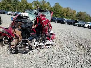 2023 Tesla Model Y VIN: 7SAYGDEE4PF709748 Lot: 71260973