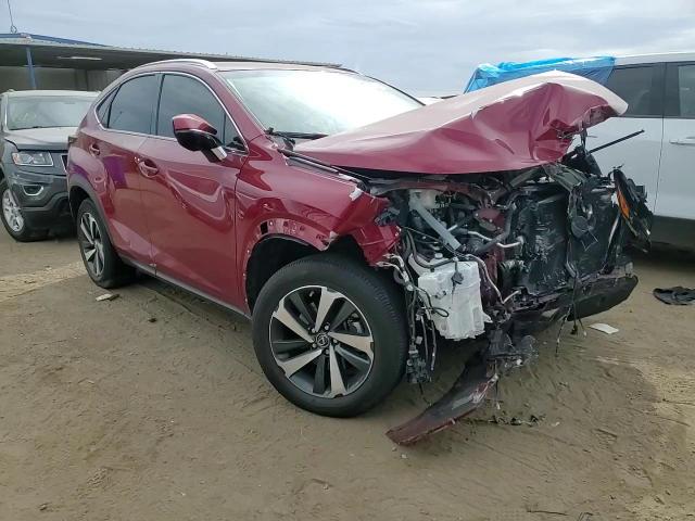 2019 Lexus Nx 300 Base VIN: JTJBARBZXK2210275 Lot: 76719094