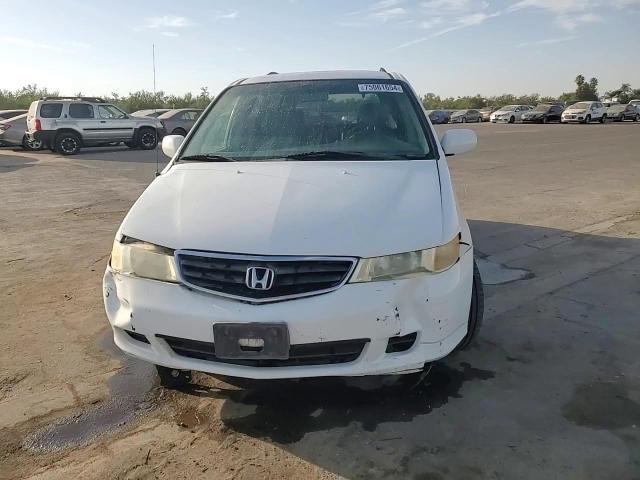 2003 Honda Odyssey Exl VIN: 5FNRL18913B022019 Lot: 75061654