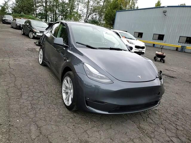 2023 Tesla Model Y VIN: 7SAYGDEE6PF904993 Lot: 75170544