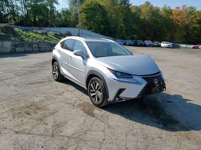 2019 Lexus Nx 300 Base VIN: JTJBARBZ0K2189985 Lot: 75627284