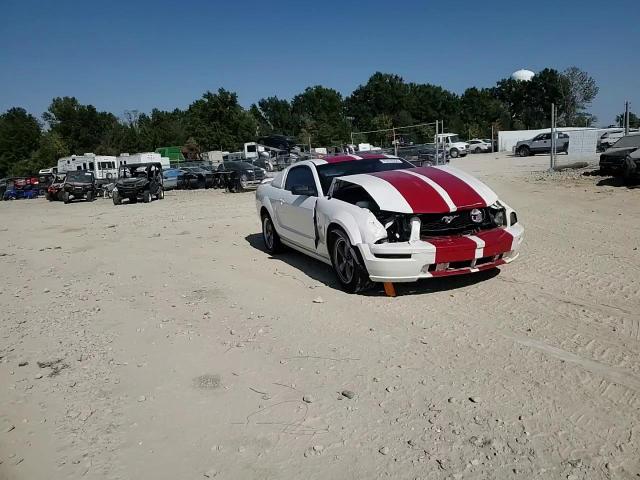 2006 Ford Mustang Gt VIN: 1ZVFT82H465250529 Lot: 75318554