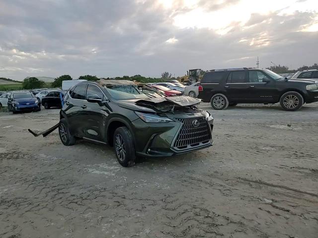 2023 Lexus Nx 250 VIN: 2T2ADCAZ7PC005036 Lot: 75165504