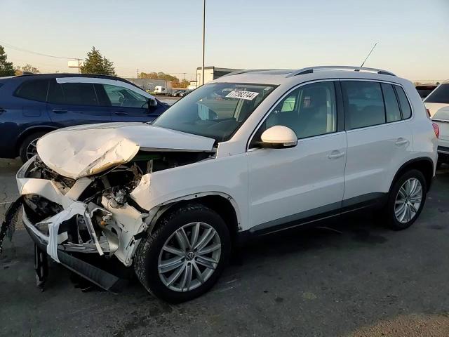 2010 Volkswagen Tiguan S VIN: WVGAV7AX5AW510249 Lot: 77362744