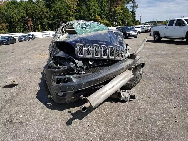 2014 Jeep Cherokee Trailhawk VIN: 1C4PJMBS6EW287141 Lot: 76258494