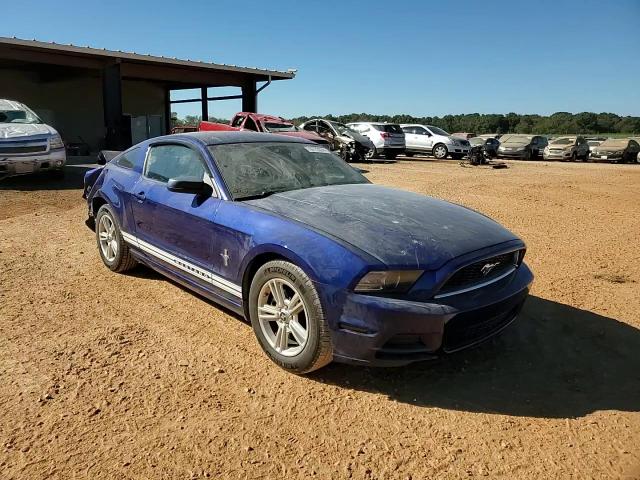 2013 Ford Mustang VIN: 1ZVBP8AM6D5273809 Lot: 76772074