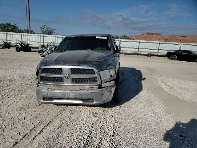 2010 Dodge Ram 1500 VIN: 1D7RB1CP5AS180166 Lot: 76396334