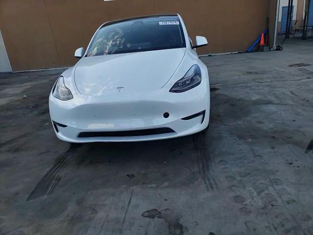 2023 Tesla Model Y VIN: 7SAYGDEF9PF624087 Lot: 74817674