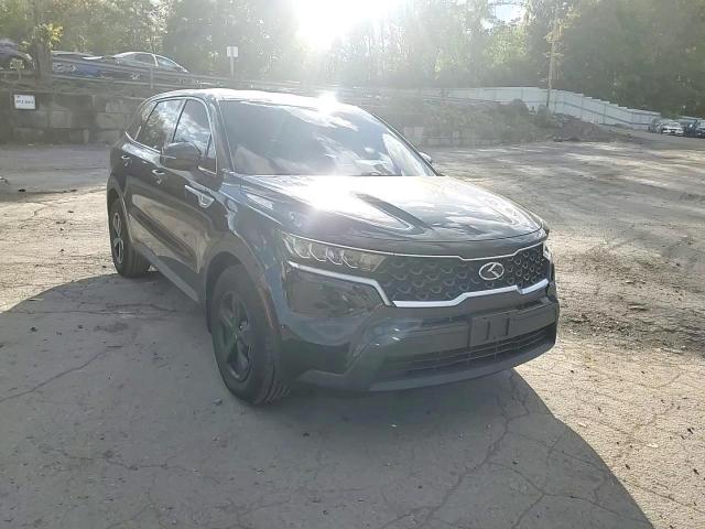 2021 Kia Sorento Lx VIN: 5XYRG4LC0MG068296 Lot: 75126024