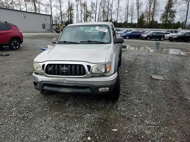 2002 Toyota Tacoma Xtracab VIN: 5TEWN72N02Z074910 Lot: 76969454