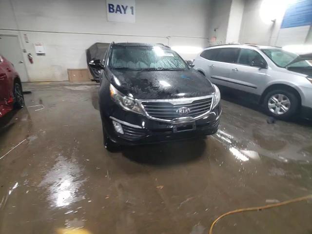 2013 Kia Sportage Ex VIN: KNDPCCA24D7429047 Lot: 78178314