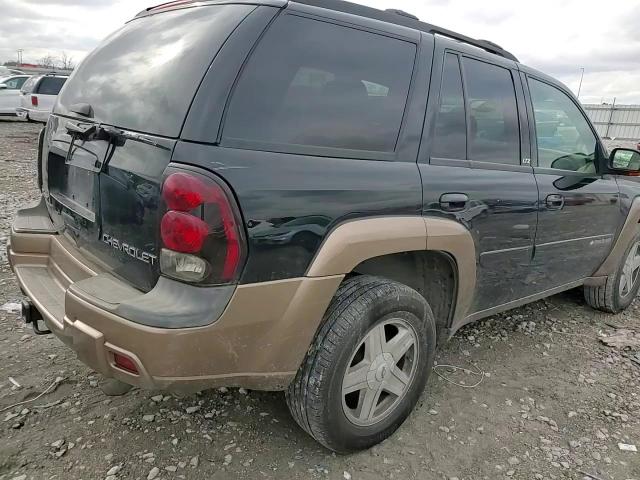 2002 Chevrolet Trailblazer VIN: 1GNDT13S022233483 Lot: 78315004