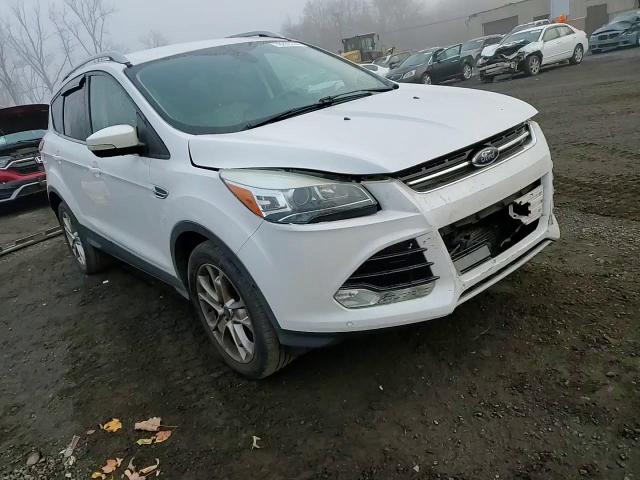 2014 Ford Escape Titanium VIN: 1FMCU9J99EUD76680 Lot: 78269744