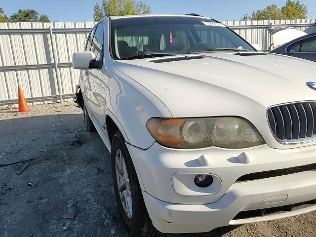 2006 BMW X5 3.0I VIN: 5UXFA13566LY43565 Lot: 73193764