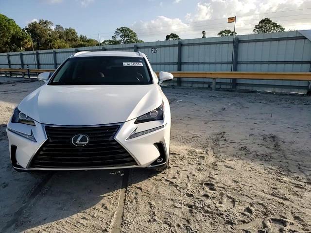 2018 Lexus Nx 300 Base VIN: JTJYARBZ1J2087376 Lot: 78737554