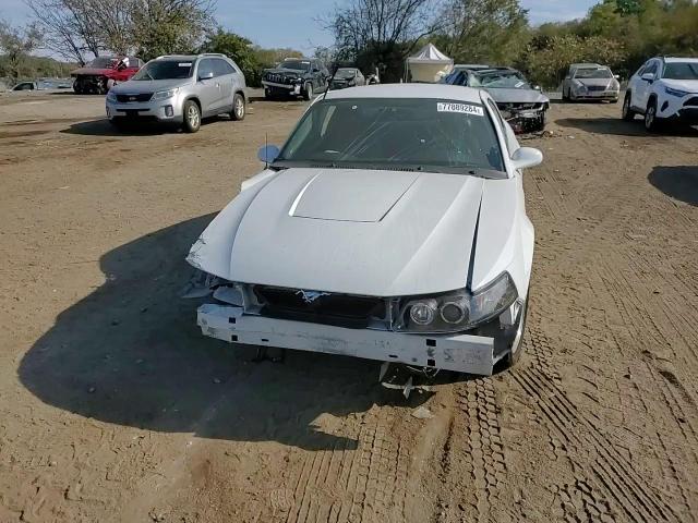 2003 Ford Mustang Gt VIN: 1FAFP42X63F335343 Lot: 77889284