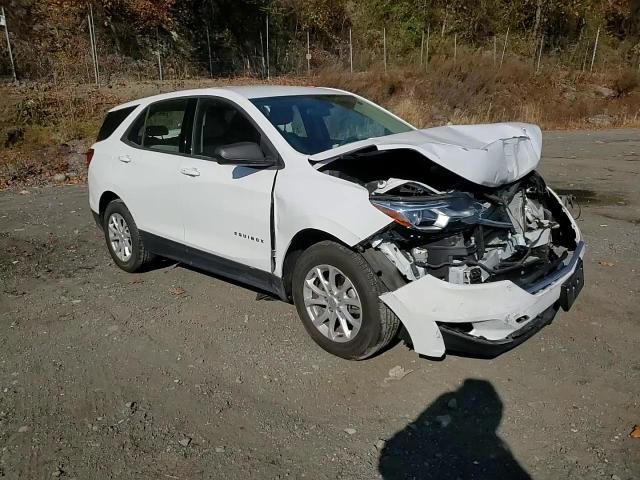 2019 Chevrolet Equinox Ls VIN: 3GNAXSEV2KS509252 Lot: 78202454