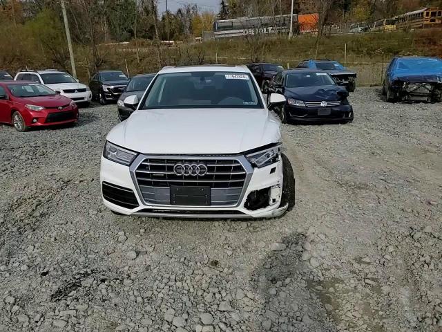 2019 Audi Q5 Premium Plus VIN: WA1BNAFY7K2066821 Lot: 77643524