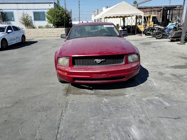 2005 Ford Mustang VIN: 1ZVFT80N255165874 Lot: 75735994