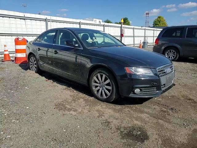 2010 Audi A4 Premium Plus VIN: WAUHFAFL5AN041010 Lot: 74485374